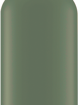 Sigg Traveller Water Bottle 0.6 Ltr Green